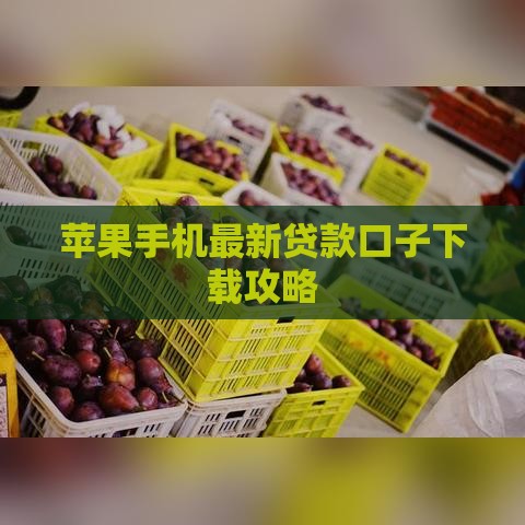 苹果手机最新贷款口子下载攻略