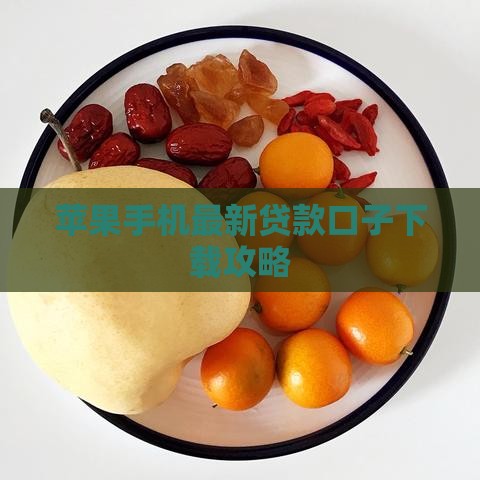 苹果手机最新贷款口子下载攻略