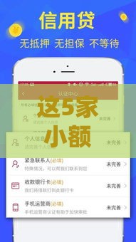 这5家小额借款审核快、易通过
