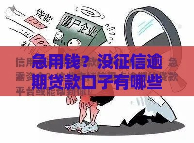 急用钱？没征信逾期贷款口子有哪些？试试这些靠谱渠道