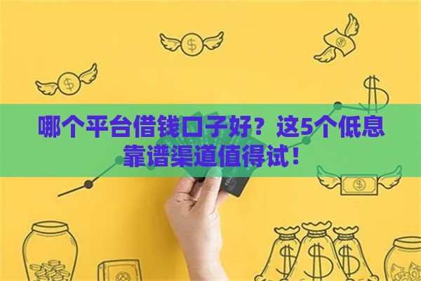 哪个平台借钱口子好？这5个低息靠谱渠道值得试！