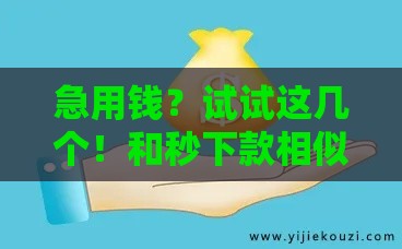 急用钱？试试这几个！和秒下款相似的平台推荐