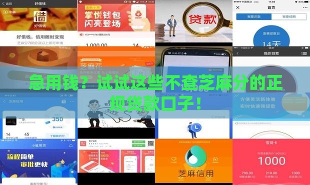 急用钱？试试这些不查芝麻分的正规贷款口子！