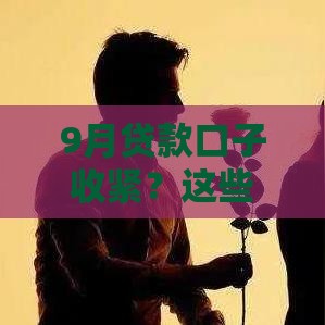 9月贷款口子收紧？这些渠道还在下款！急用钱必看