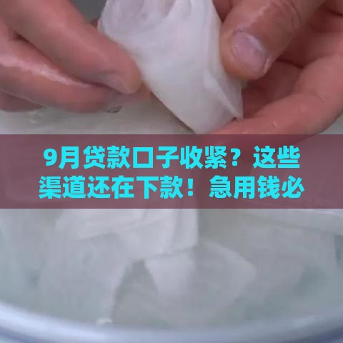 9月贷款口子收紧？这些渠道还在下款！急用钱必看