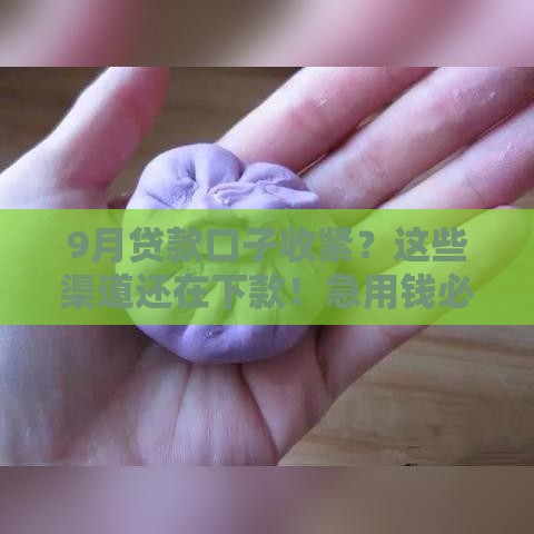 9月贷款口子收紧？这些渠道还在下款！急用钱必看