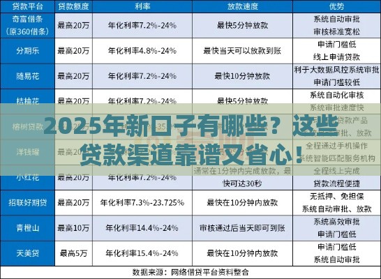 2025年新口子有哪些？这些贷款渠道靠谱又省心！