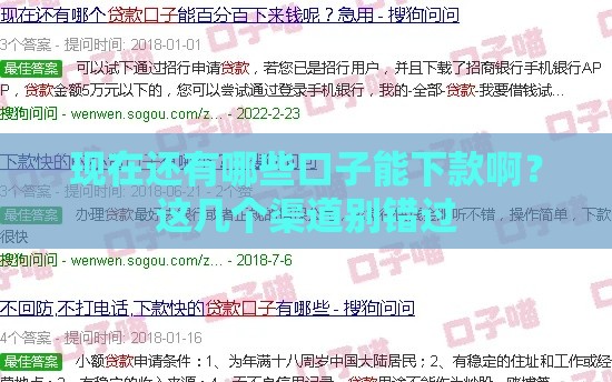 现在还有哪些口子能下款啊？这几个渠道别错过
