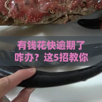 有钱花快逾期了咋办？这5招教你紧急补救！