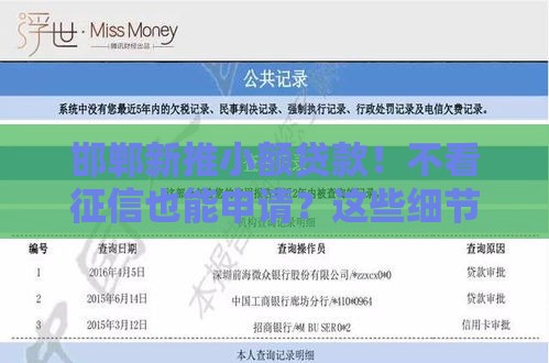 邯郸新推小额贷款！不看征信也能申请？这些细节别错过