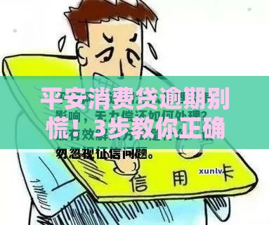 平安消费贷逾期别慌！3步教你正确处理攻略
