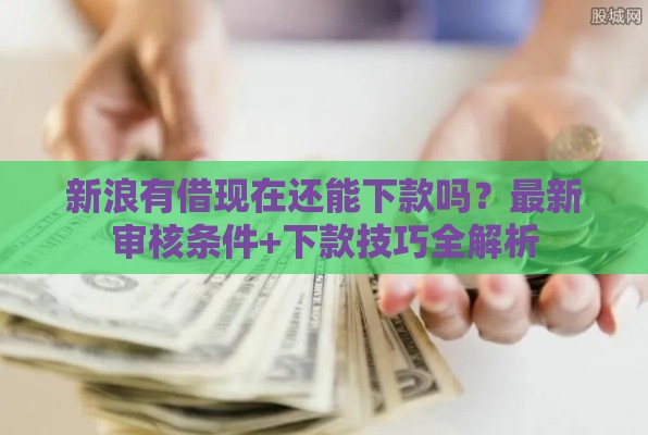 新浪有借现在还能下款吗？最新审核条件+下款技巧全解析
