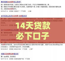 14天贷款必下口子的终极攻略，快速到账不踩坑