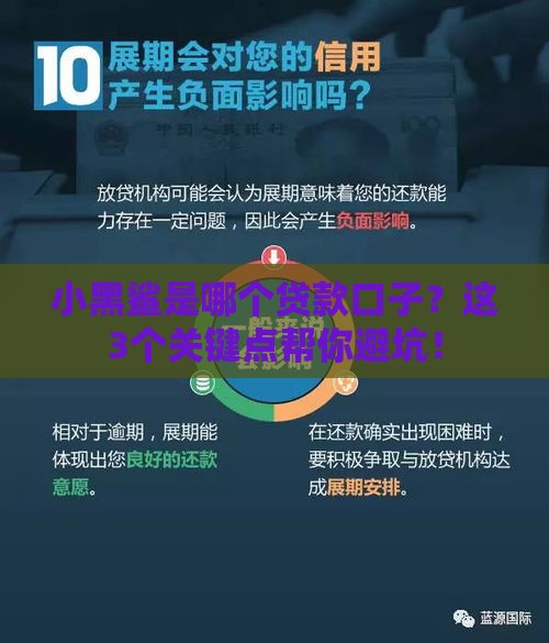 小黑鲨是哪个贷款口子？这3个关键点帮你避坑！