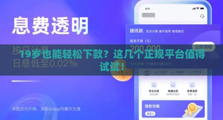 19岁也能轻松下款？这几个正规平台值得试试！