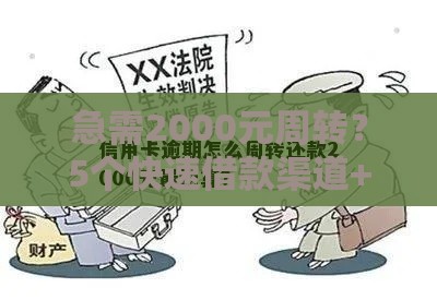 急需2000元周转？5个快速借款渠道+避坑指南