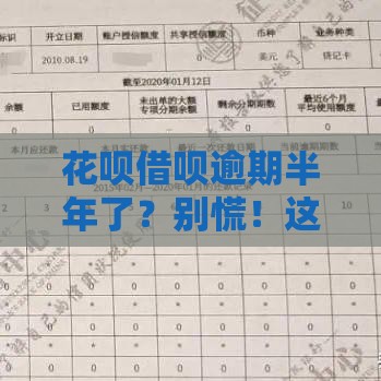 花呗借呗逾期半年了？别慌！这3个补救方法帮你挽回信用