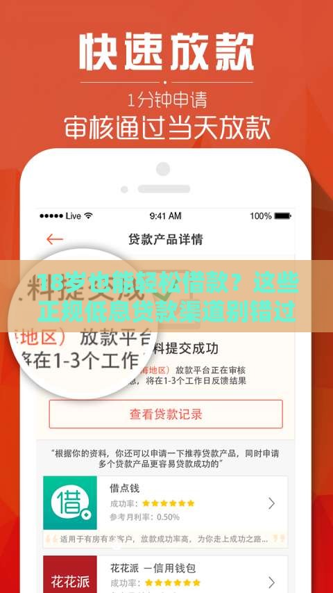 18岁也能轻松借款？这些正规低息贷款渠道别错过！