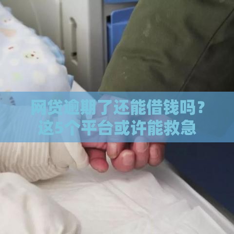 网贷逾期了还能借钱吗？这5个平台或许能救急