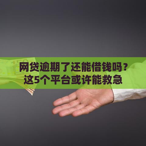 网贷逾期了还能借钱吗？这5个平台或许能救急
