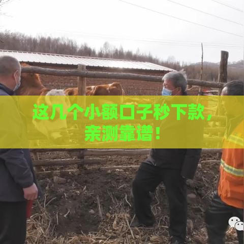 这几个小额口子秒下款，亲测靠谱！