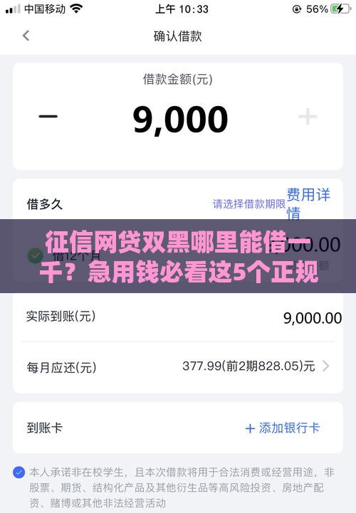 征信网贷双黑哪里能借一千?急用钱必看这5个正规渠道 征信网贷双黑哪里能借一千?急用钱必看这5个正规渠道