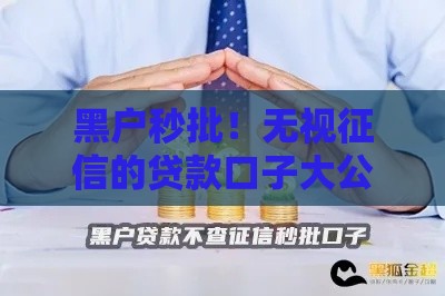 黑户秒批！无视征信的贷款口子大公开