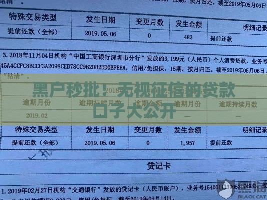 黑户秒批！无视征信的贷款口子大公开