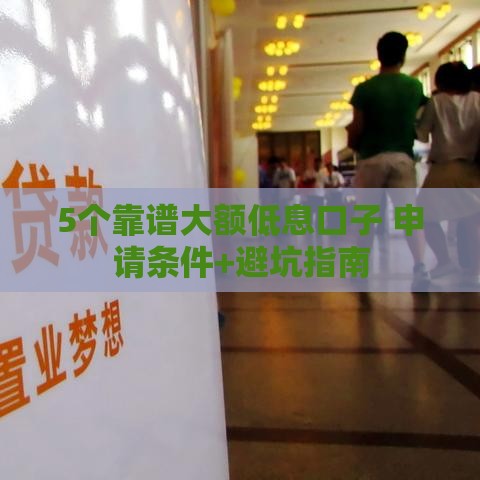 5个靠谱大额低息口子 申请条件+避坑指南