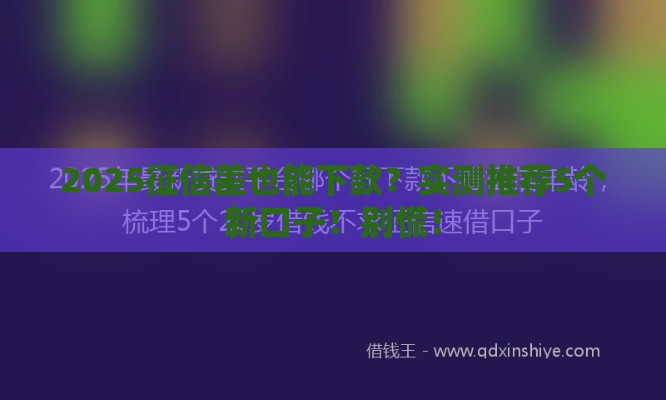 2025征信差也能下款?实测推荐5个新口子!别慌! 2025征信差也能下款?实测推荐5个新口子!别慌!