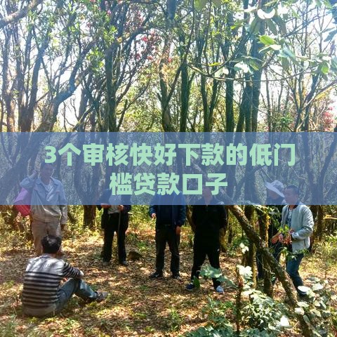 3个审核快好下款的低门槛贷款口子