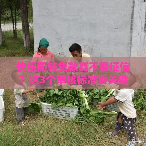 快乐周转贷款真不看征信？这3个审核标准更关键！