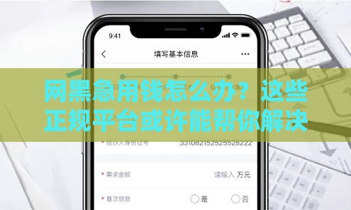 网黑急用钱怎么办？这些正规平台或许能帮你解决难题！