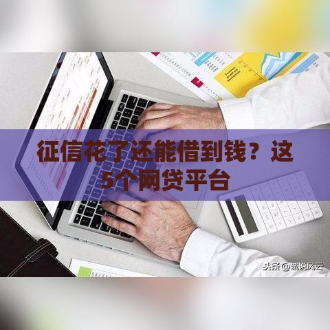 征信花了还能借到钱？这5个网贷平台