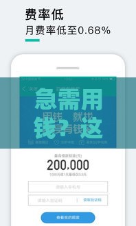 急需用钱？这5个口子20点后还能下款！