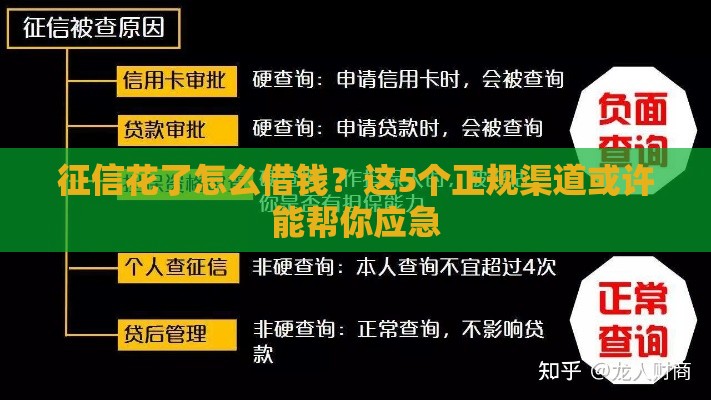 征信花了怎么借钱？这5个正规渠道或许能帮你应急