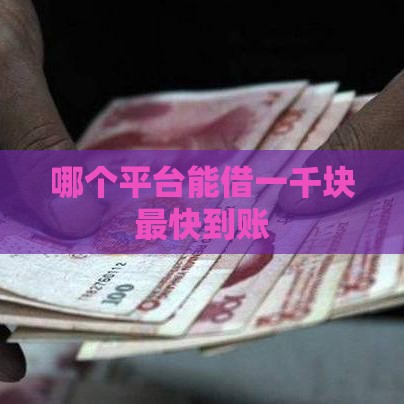 哪个平台能借一千块最快到账