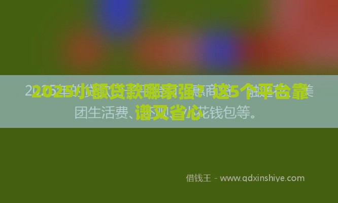 2025小额贷款哪家强？这5个平台靠谱又省心