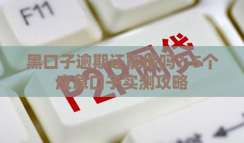 黑口子逾期还能借吗？5个应急口子实测攻略
