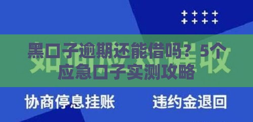 黑口子逾期还能借吗？5个应急口子实测攻略