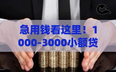 急用钱看这里!1000-3000小额贷款攻略 无视黑白户也能过 急用钱看这里!1000-3000小额贷款攻略 无视黑白户也能过