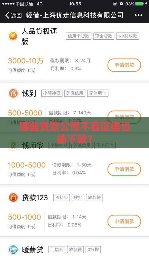 哪些贷款公司不看征信也能下款？