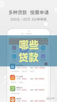 哪些贷款公司不看征信也能下款？