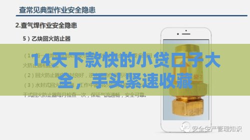 14天下款快的小贷口子大全，手头紧速收藏