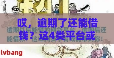 哎，逾期了还能借钱？这4类平台或许能救急