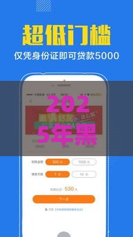 2025年黑口子贷款App大揭秘！这些平台千万别碰
