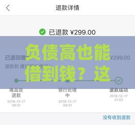负债高也能借到钱？这5个靠谱平台亲测有效！