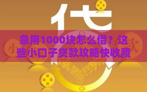急用1000块怎么借？这些小口子贷款攻略快收藏