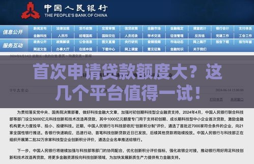 首次申请贷款额度大？这几个平台值得一试！