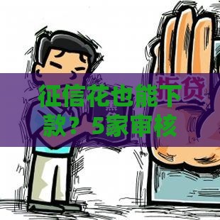 征信花也能下款？5家审核宽松的网贷平台实测盘点